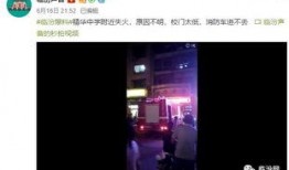 爆炸性爆料视频,爆炸性爆料视频背后的惊人真相