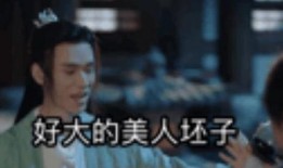 刘大锤爆料虎狼之词视频,视频内容深度解析